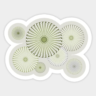 Sea Urchin | Kina | Abstract | Patterns in Nature | Sea Shells | Seashells | Sage Green | Sticker